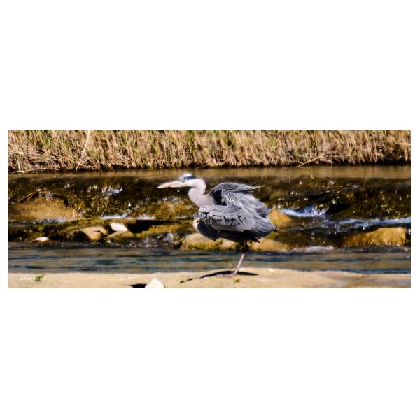 PHOTO84, CLUB, 84 , LUBERON